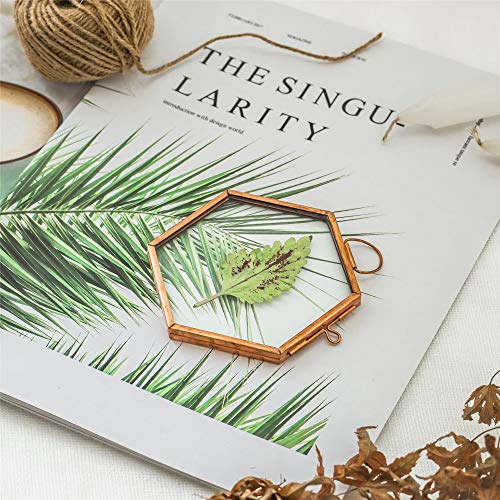 Ncyp Hanging Small Rose Gold Hexagon Herbarium, Side Length 2 Inches Handmade Copper Glass Frame For Pressed Dried Flowers Plants, Double Glass, Floating Frame Style, Glass Frame Only #TOP4