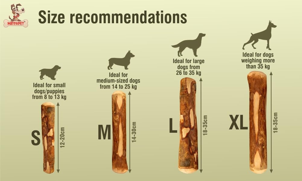 Matchpet Olive Wood Chew Stick for Dogs M - Image 3