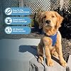 Best Pet Supplies Voyager Step-in Air Harness - All Weather Mesh, Reflective, No Pull Harness for Dogs, Cats - Secure with Hook & Loop Fastener, Buckle, Double D-Rings - Royal Blue, M #2