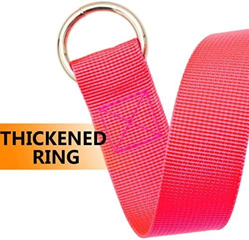 ATICNECH Slip Lead Dog Leash, 10 Pack Colorful 6 FT Pet Leashes with O-Ring - 3