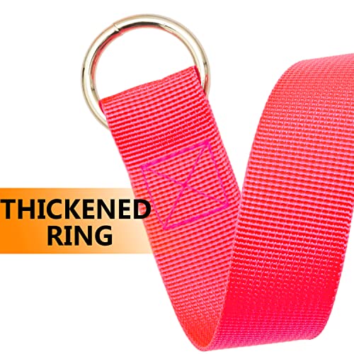 Aticnech Slip Lead Dog Leash - 10 Pcs Colorful 6 Ft Short Dog Leashes With O-Ring For Small Large Dogs Puppy Cats Walking Training Running Rescues Grooming Shelter,Etc. #TOP3