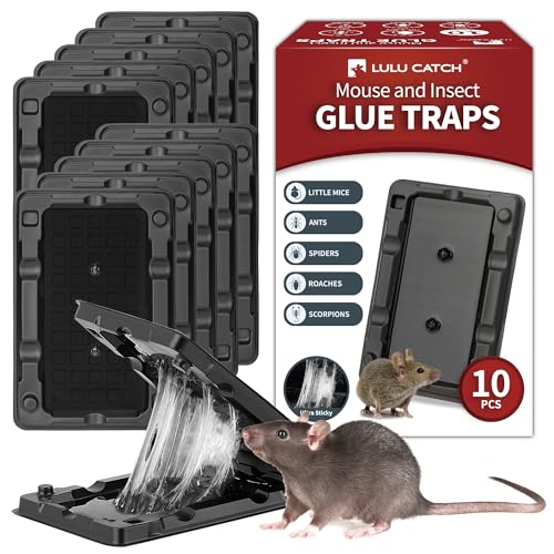 LULUCATCH }EX&pڒ܃gbv 10pbN tS}EXgbvp ƒpAŐڒ܃{[h }EXANPbgASLuAgJQAAybgɈS ƂK[W