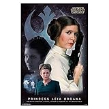 Trends International Princess Leia Memory Wall Poster 22.375