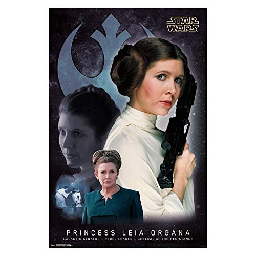 Trends International Princess Leia Memory Wall Poster 22.375