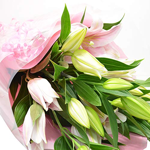 仏花のおすすめ人気ランキング7選 仏花に適した花の種類も解説 セレクト Gooランキング