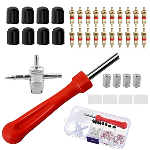 Lanjue Tyre Valve Repair Kit Schrader Valve Core Tool Set 34 PCS