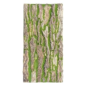 Bbhw 56425 Moosrinde Terrarium Rückwand 50x100cm