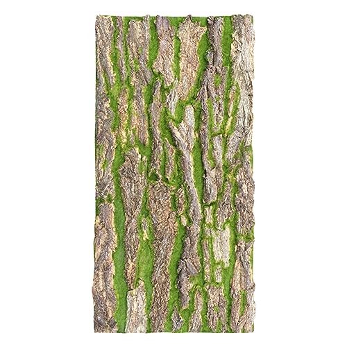 Bbhw 56425 Moosrinde Terrarium Rückwand 50x100cm