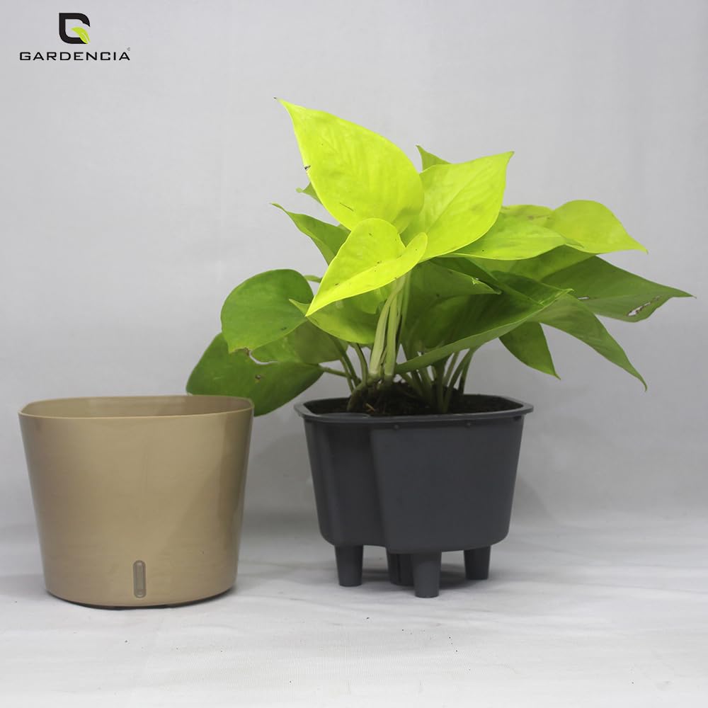 GARDENCIA Self Watering Pots - Modern Plant Cachepots -5 GARDENCIA Self Watering Pots - Modern Plant Cachepots -5