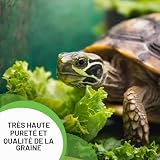 ZOMA mélange de graines pour tortue terrestre, sachet de 15 g photo 2