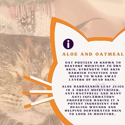 Image of Fresh-Cat Aloe Vera & Oats Shampoo for Cats - Hydrates Dry Skin, Moisturizes, and Promotes Soft, Shiny Coat - 12 oz