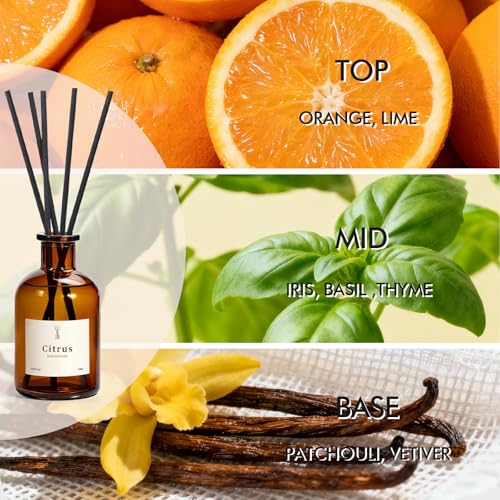 Reed Diffuser Set, 8.12 fl.oz Citrus Scent Oil Diffuser with Sticks, Long-Lasting Home Fragrance Reed Diffuser for Bathroom Shelf Decor, Air Freshener Room Diffuser, 2 Pack - Image 3