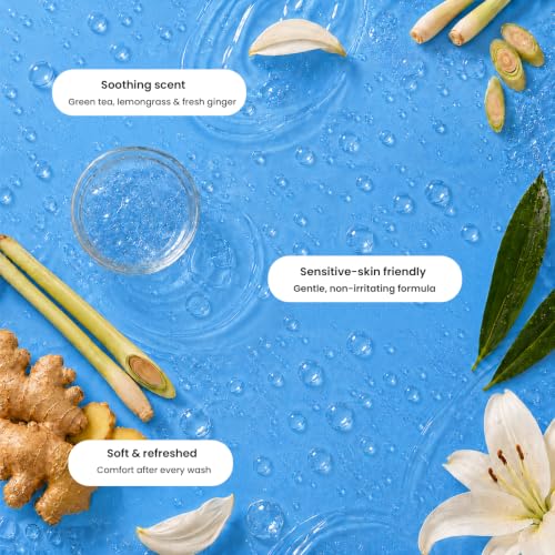 Image of Ginger Lily Farms Botanicals Hand Soap, 16.9oz /6pk, Island Tranquility
