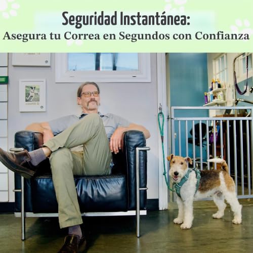 Miniatura 2 de Canine Hitch - Correa Segura Para Perro Montada En El Estacionamiento Interior - Gancho De Pared Para Exteriores - Amarre De Acero Inoxidable Práctica Gestión De Plomo Para El Hogar Y El Negocio,