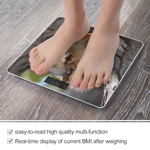 Báscula digital de baño con capacidad 400 lb y pantalla LCD miniatura 5