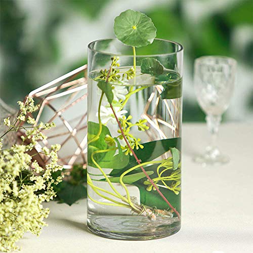 rishabh home decoration glass clear cylinder vase floral 6 inch tall x 10cm wide cylinder glass vase for weddings, events, decorating, arrangements, flowers, office, or home decor (6 inch)