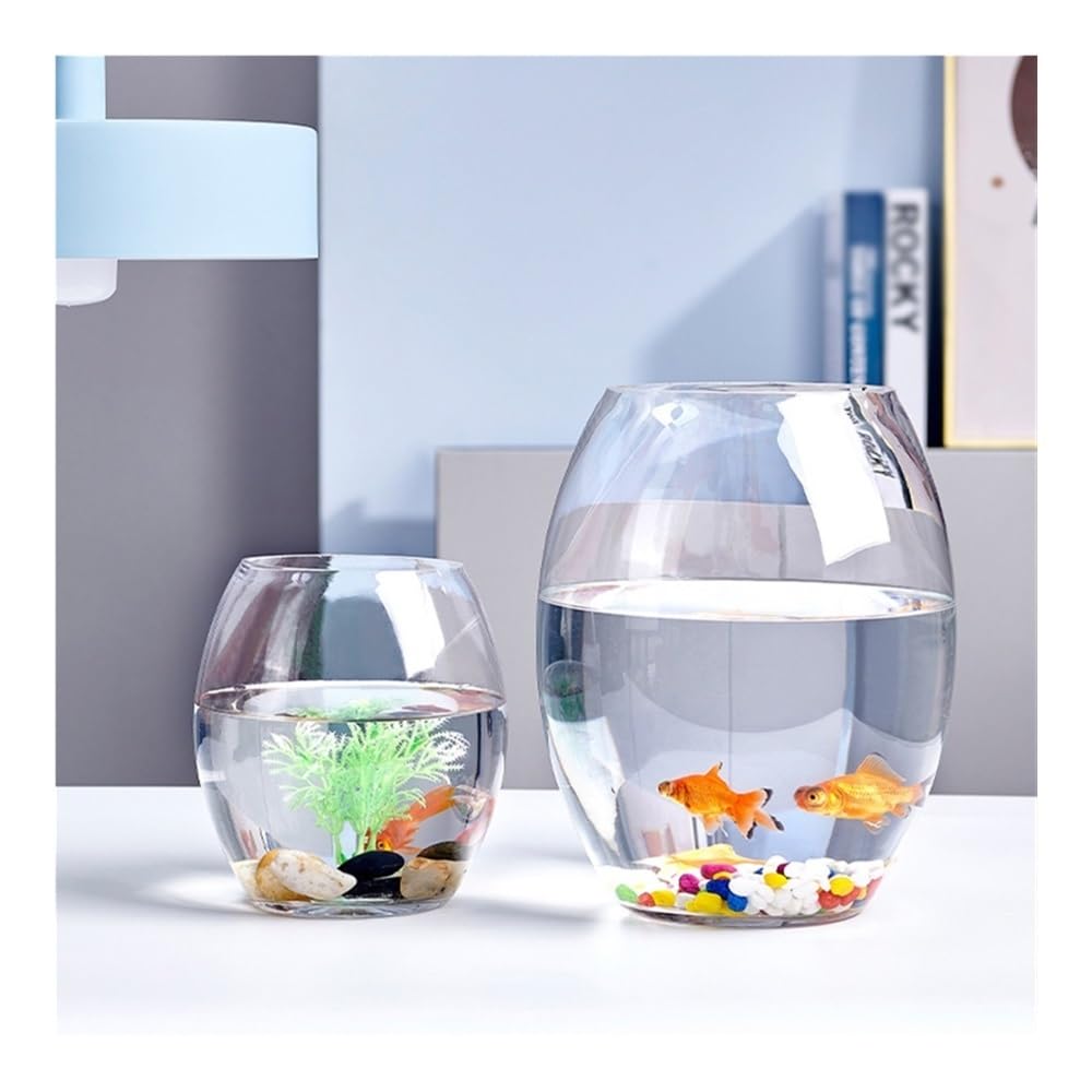 Acquario Acquario piccolo in vetro trasparente spesso ovale for ufficio domestico, scrivania multiuso(M)