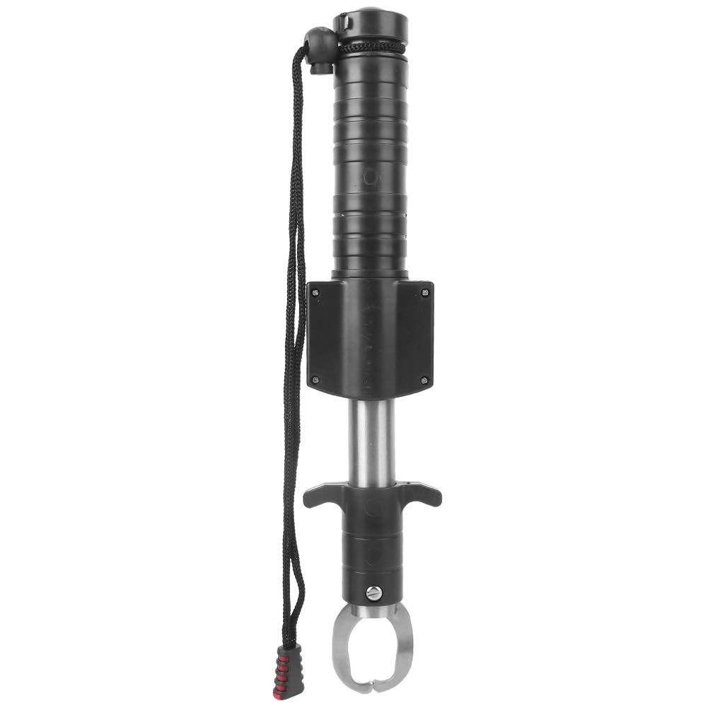 Balance de pêche numérique en acier inoxydable, pince à lèvres pour poisson, balance de poids électronique, poignée rotative résistante à l'eau pour les pêcheurs, accessoires de
