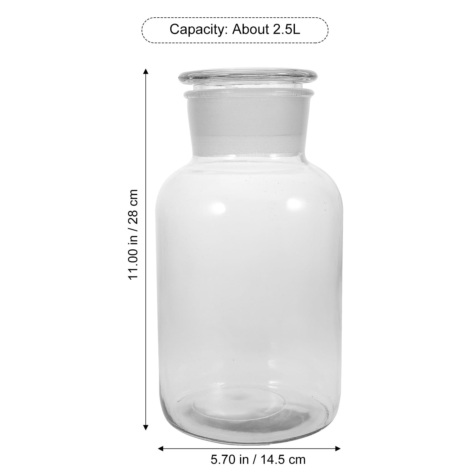 VALICLUD Keksdose aus Glas 25L – Luftdichter Vorratsbehälter für Getreide und Trockenfrüchte Großes Glas mit Deckel für Küche und Vorratskammer