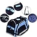 PPOGOO Pet Travel Carriers Soft Sided Portable Bags for Dogs and Cats Airline Approved Dog Carrier 22
