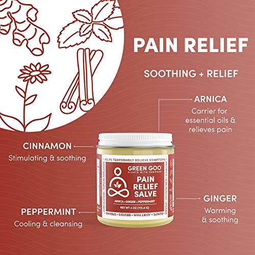 Green Pain Relief Skin Salve, All-Natural Pain Relief Formula For Arthritis, Sore Muscles & Bruises, Rapid Relief, 4 Oz Jar #TOP1