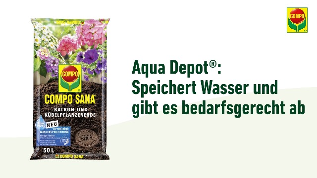 COMPO SANA Balkon- und Kbelpflanzenerde mit optimierter Wasserspeicherung  und 12 Wochen Dnger fr alle Balkon- und Terrassenpflanzen 50L : Amazon.de:  Garten