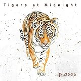 Tigers at Midnight
