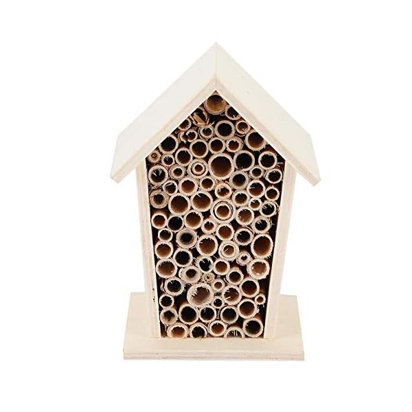 ZPSHYD Wooden Insect House, 5.5x3.9x3.1in Paulownia Wooden Hanging ...
