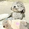 All-for-Paws-Puppy-Anxiety-Relief-Comfort-Toy-Soothing-Dog-Toy-Heartbeating-Dog-Stuffed-Animal-Toy-Behavioral-Aid-Warm-Toys-for-Puppies Behavioral Aid Warm Toys for Puppies