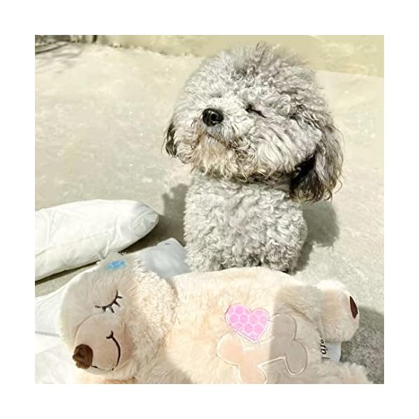 All-for-Paws-Puppy-Anxiety-Relief-Comfort-Toy-Soothing-Dog-Toy-Heartbeating-Dog-Stuffed-Animal-Toy-Behavioral-Aid-Warm-Toys-for-Puppies Behavioral Aid Warm Toys for Puppies