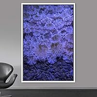 Framed Canvas Wall Art Coral Beds Bedroom Colorful Jellyfish Marine Life Multicolor Neon Photography Tropical - 16x24 inches