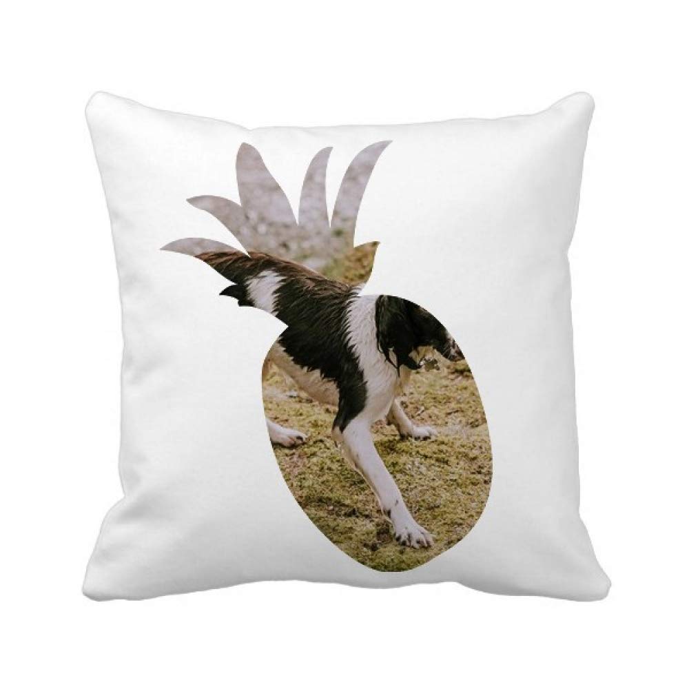 Housse coussin carré chien noir et animal blanc au design ananas artistique