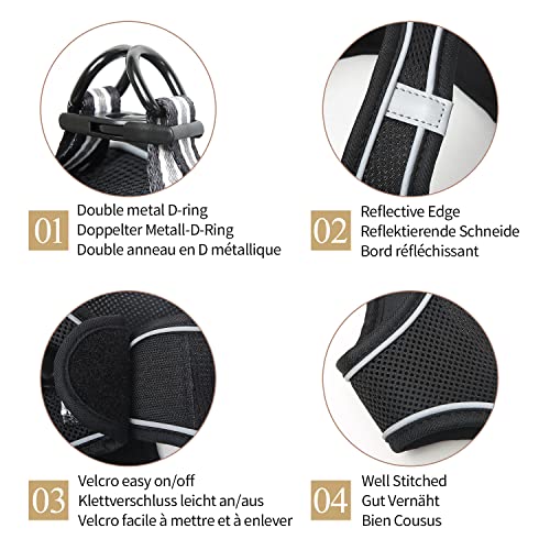 HEELE Pettorina per Cani di Piccola Taglia