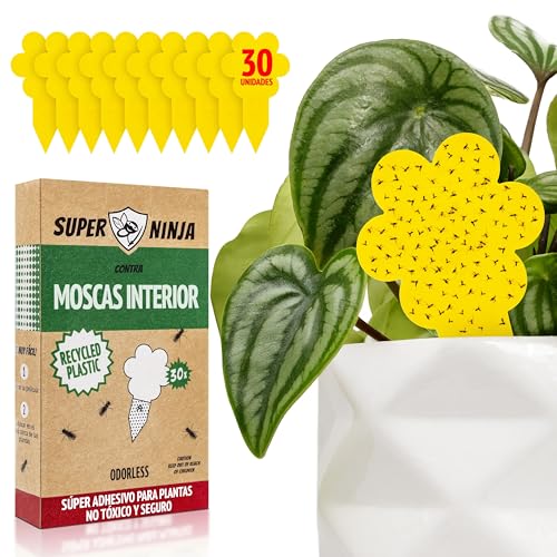 Super Ninja Trampas para Moscas - Pack de 30 Trampas Adhesivas para Plantas, Eficaces contra Moscas en Interiores, Insecticida para Plantas No Tóxico y Ecológico, hasta 3 Meses de Duración