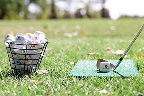 Birdieball Practice Golf Balls, Limited Flight Golf Balls, Golf Training Balls (Pack Of 12) #TOP3