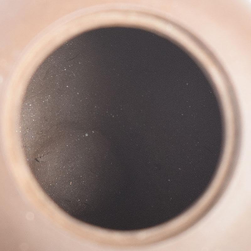 中国 紫砂 朱泥 栗鼠葡萄文 急須 茶壷 在銘 N 8162 中国 紫砂