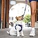 EzyDog Hundegeschirr kleine Hunde – FORMFIT Weste aus atmungsaktivem 3D Air-Mesh – Leicht, verstellbar, reflektierend, mit robustem D-Ring (S, Blau)