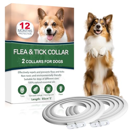 Collare Antiparassitario per Cani, Antiparassitario Collare Antipulci cane per Tutti i Tipi di Cani, Regolabile Impermeabile, 12 Mesi di Efficacia Protezione, 65cm Taglia Unica (2, 65cm*2)