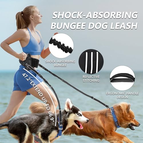 Laisse mains libres haute résistance en nylon imperméable pour grands chiens - 6