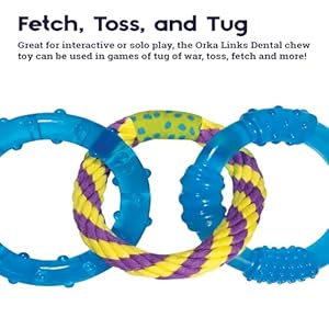 Petstages Orka Dental Links Dog Chew Toy