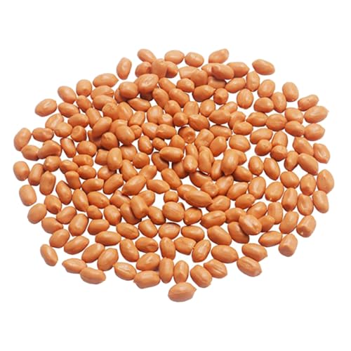 VANZACK Núcleos de cacahuete artificiales, decoración realista, ligeros, detallados y resistentes, reutilizables, simulación de frutos secos para fotografía y diseño de viviendas