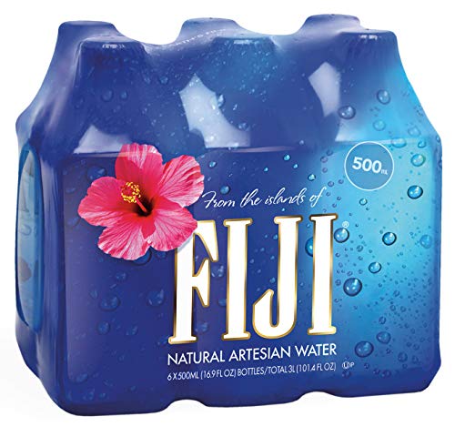 FIJI Natural Artesian Water, 16.9 Fl Oz (Pack of 6)