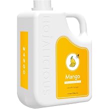 Hojalicious Cane Sugar Syrup Concentrate Flavor 5.5lb, Mango