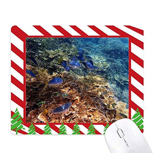 Tapis de souris ocean colore ergonomique fini les tapis qui glissent avec ce caoutchouc