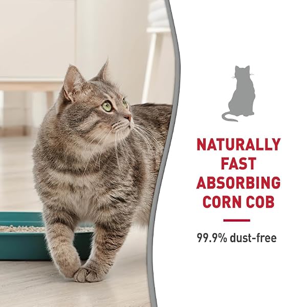 Nature’s Miracle Premium Clumping Corn Cob Litter, 10 Pounds, Made with Real Corn Cob for Fast-Clumping Litter for Multi-Cat Households - 5