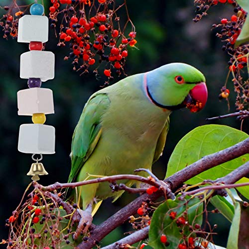 Balacoo 2Pcs Papagaio Brinquedo Gaiola de Pedra Mineral Bloco Periquitos Contas Ranger Os Dentes Mol