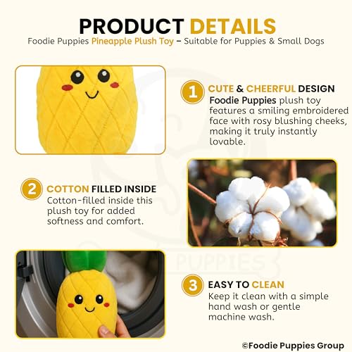 Image of Foodie Puppies Interactive Dog Squeaky Plush Toy - (Pineapple) | Durable Crinkle Papered, Cotton Stuffed Chew Toy for Teething, Cuddling, Playing and Training | for Small to Medium Dogs (Size: 21cm)