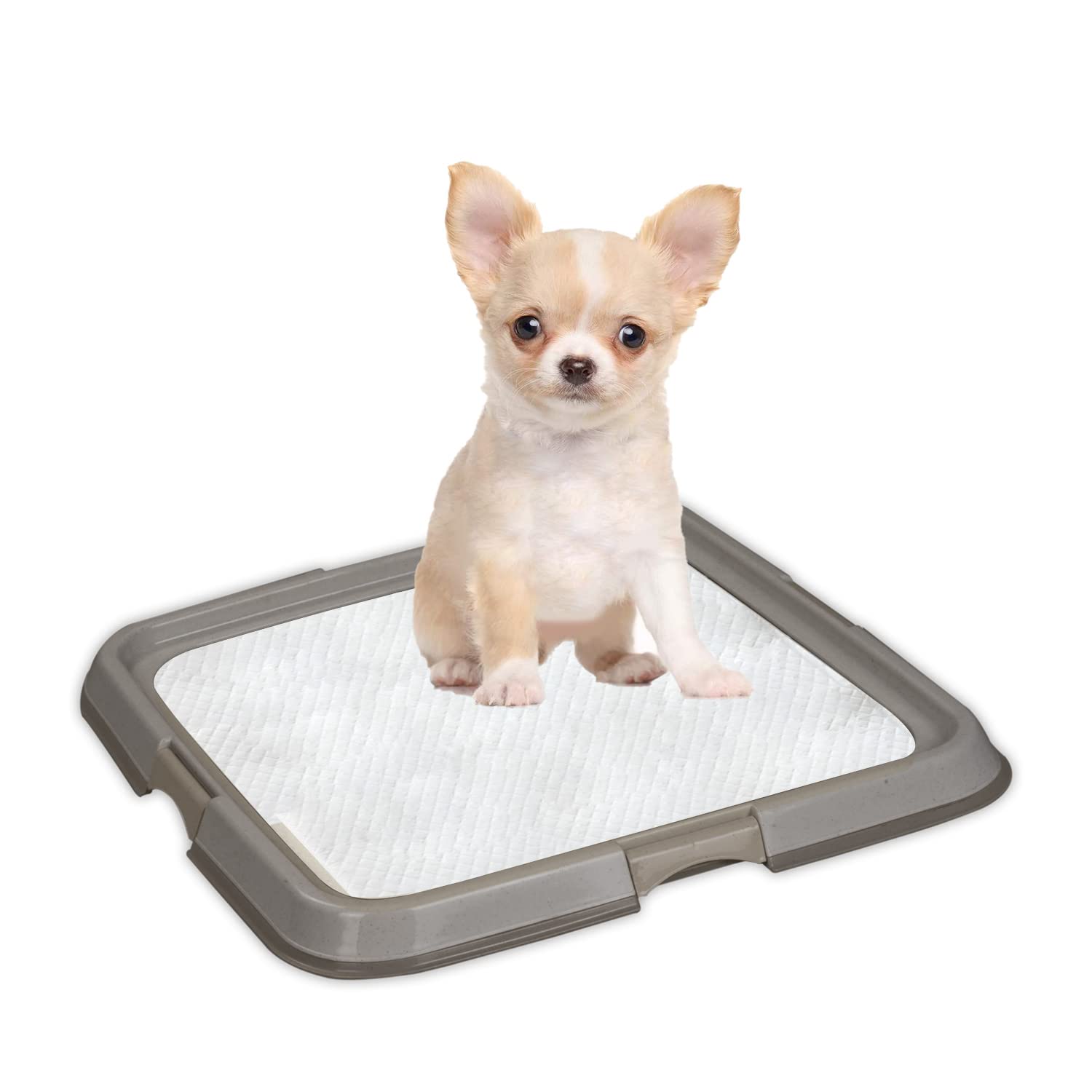PAWISE Hundetoilette für den Innenbereich, Welpen-Trainingspads, Hundetöpfchen-Tablett, tragbares Untersetzer für Haustiere, Hundeklo für Katzen, 49 x 36 cm