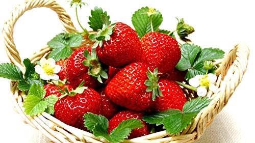 300Pcs Giant Strawberry Seeds, Sweet Red Strawberry/Organic Garden Strawberry Fruit Seeds, For Home Garden Planting #TOP2