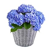 matches21 HOME & HOBBY